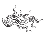 Insignia derived from Botticelli's drawings for Dante's Divine Comedy